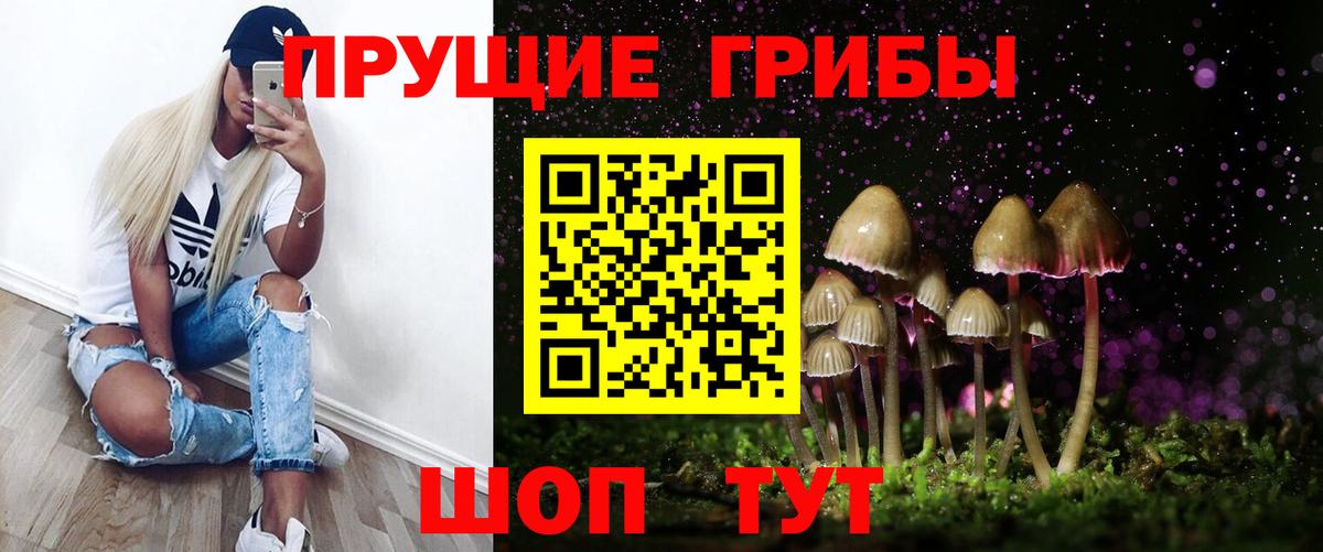 Галлюциногенные грибы Psilocybe  Вход с VPN  хочу наркоту  Прохладный 