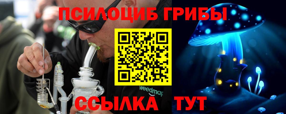 Галлюциногенные грибы Psilocybine cubensis Прохладный